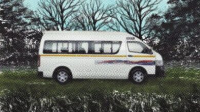 Novatron, DJ 787 & Mulest Vankay ft. Mdeshkayro – Sisebasini