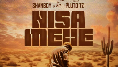 Shanboy & Pluto Tz – Nisamehe