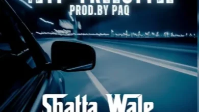 Shatta Wale – 4lYF (Freestyle)