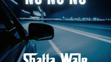 Shatta Wale – No No No