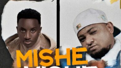 Centano ft. Stamina – Mishemishe II