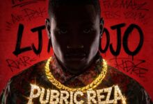 LJ Mojo - Pubric Reza (WYFL Riddim)