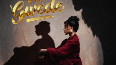 Theresa Phondo - No Gwede