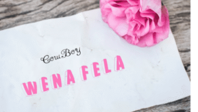 Cow_Boy – Wena Fela