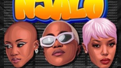 Nelz ft Moozile & Buzzi Lee – Njalo