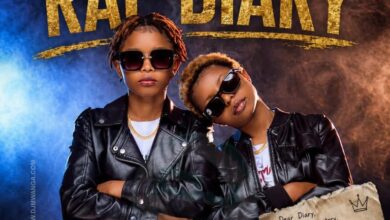 Queensbees – Rap Diary