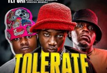 Fly Jay ft. Shokii & Mwana Bozoli - Tolerate