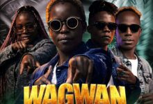 Abena Swanky T ft. Akapondo Baraba - Wagwan