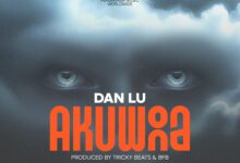 Dan Lu - Akuona