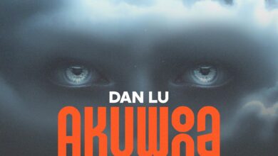 Dan Lu - Akuona