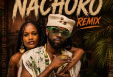 Damian Soul - Nachoro (Remix)