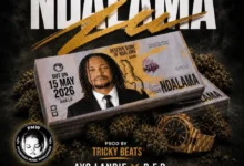Dan Lu - Ndalama