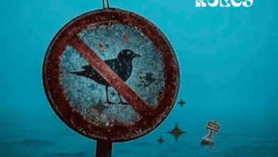 DrummeRTee924 – Break The Rules Ep