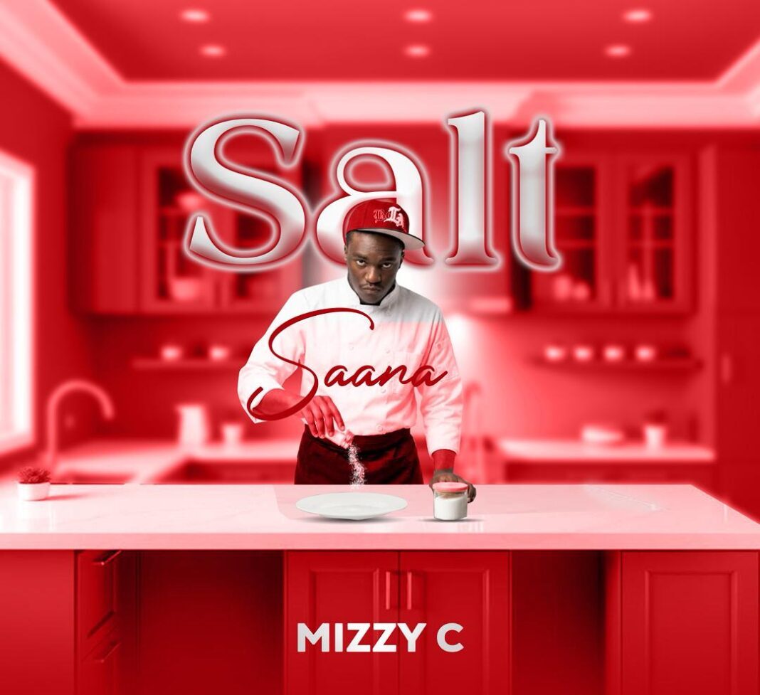 Salt Sana
