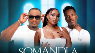 Smash SA, DJ Ale & Leandra.Vert ft. Sipho Magudulela – Somandla