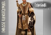 Inkosi kaVoicemail – Izinsimbi part 8
