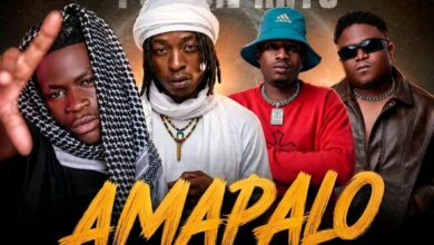 Mwana Kalampa ft. D Bwoy x King Kizo & Mish Tyga - Amapalo