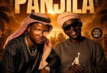 Velt Africa ft. Vanicia - Panjila