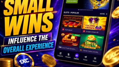 How Small Wins Influence the Overall Experience
