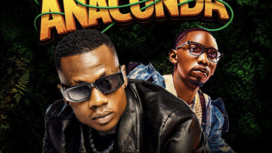 Lutty Neika & Bravion Emcee - Anaconda