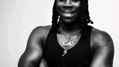 Stonebwoy - Wake Up