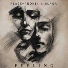 Feeling Ft Slaga