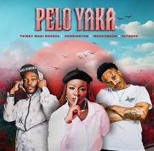 Tribby Wadi Bhozza – Pelo Yaka Ft Poobington, Wendy Moon & Hitboss SA
