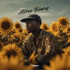Altraajamz - Inside Job ft Black Desciple