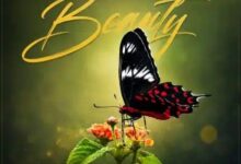 BrokenHill Emmy – Beauty