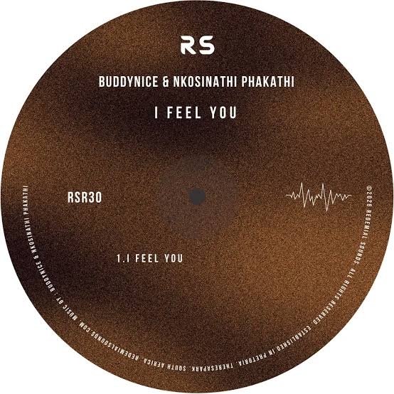 Buddynice – I Feel You ft Nkosinathi Phakathi