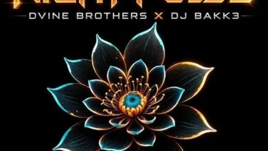 Dj Bakk3 – Night Pulse ft Dvine Brothers