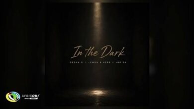 Deena G – In The Dark ft. Lemon & Herb & JNR SA