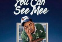 Dogo Elisha – You Can See Mee