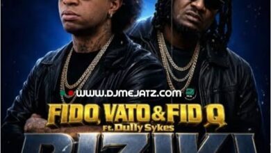 Fido Vato X Fid Q– Riziki ft Dully Sykes