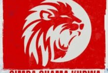 Inspector Haroun babu – Simba chama kubwa