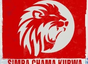 Inspector Haroun babu – Simba chama kubwa