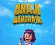 Laulin music – Unajidanganya