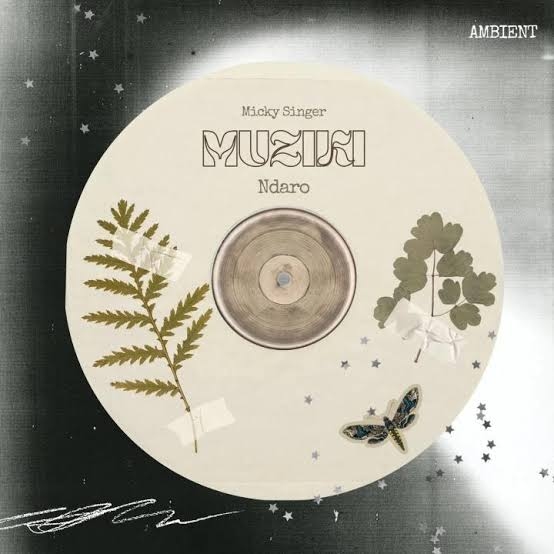 Micky Singer – Muziki Ft. Ndaro