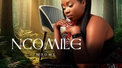Ncomile Msomi – INGULUBE (Full Album)