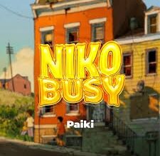 Paikitz – Niko busy