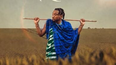 Ronze – Rudi