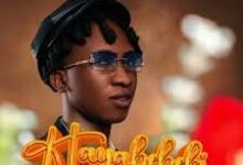 Sunny Voice – Hayabebeki