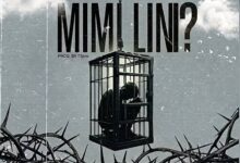 Toxic – MIMI LINI