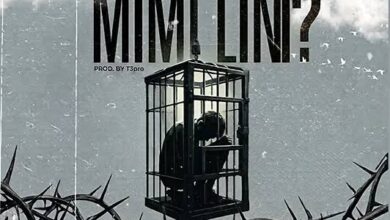 Toxic – MIMI LINI