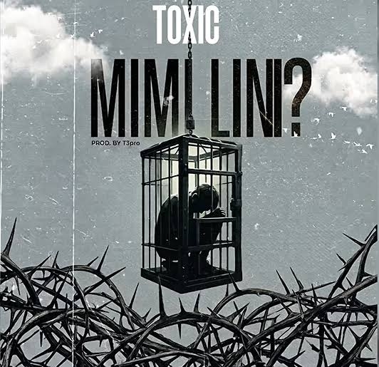 Toxic – MIMI LINI