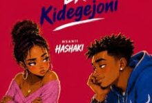 Hashaki – Ex kidege Joni
