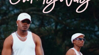 Prince Luv & Driemo - On My Way