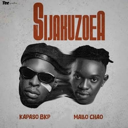 Kapaso Bkp .,. Dogo Mallo