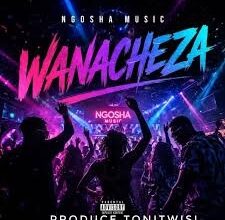 Ngosha Music – Wanacheza