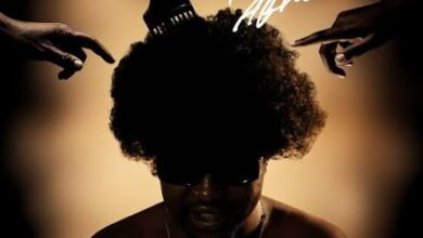 Sthibo de Beat – MOVE ME ft FKA MOSES & Leandra.Vert & Buddy Kay